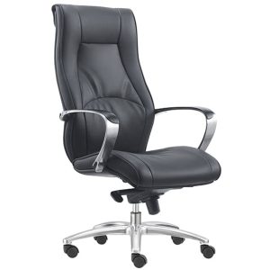 CAMRY CHAIR