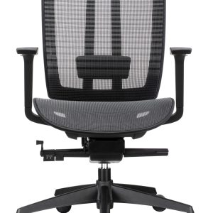 SIS CHAIR